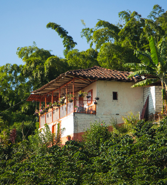 Casa cafetera del Eje Cafetero colombiano. Foto por César Romero 2018